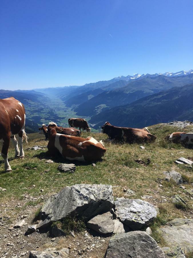 Apartmán Haus Seifriedsberger Bramberg am Wildkogel Exteriér fotografie